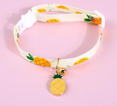 Uplifted Finds New Adjustable Kitten Collar With Breakaway Safety Buckle And Bell l