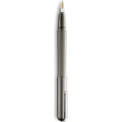 Imporium Füllfederhalter F mattes Titan platinpolierter Clip