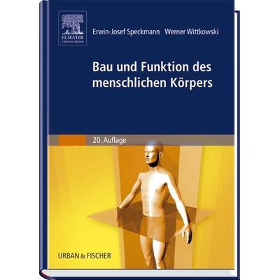 Speckmann: Bau/menschl. Körpers, Gebundene Ausgabe von E.-J. Speckmann, Urban & Fischer in Elsevier, 978-3-437-26191-6