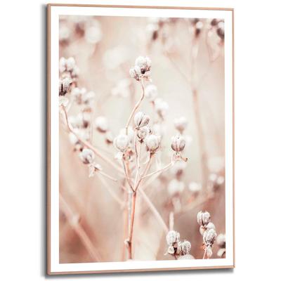 Poster REINDERS "Getrockneter Zweig", beige (farbe bild(er): beige), B:50cm H:70cm T:1,6cm, MDF, Bilder, Poster
