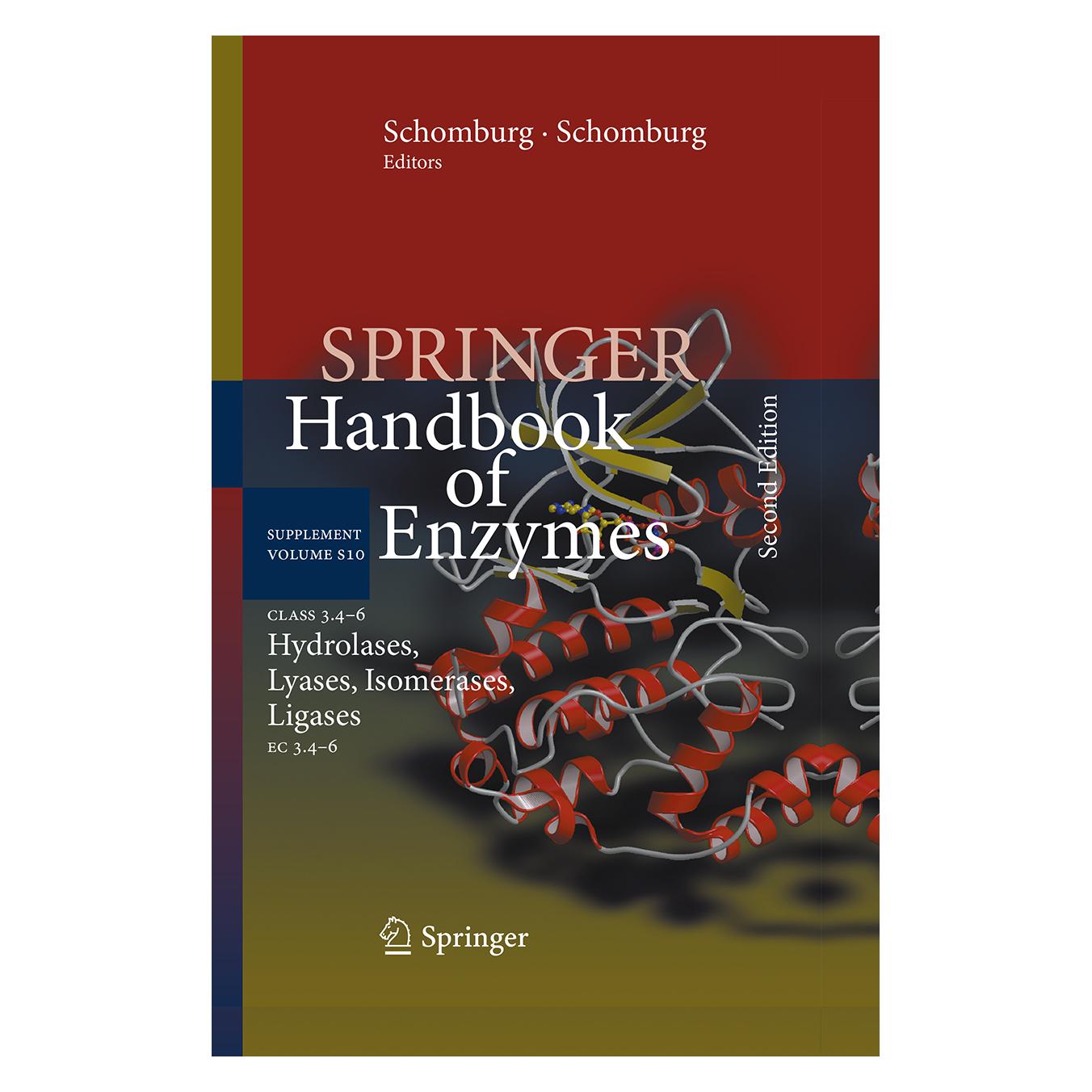 Springer Class 3.4-6 Hydrolases, Lyases, Isomerases, Ligases (Englisch, Softcover, Antje Chang, Dietmar Schomburg, Ida Schomburg) (55598605)