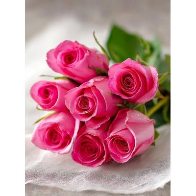 CALVENDO Puzzle Strauß aus rosa Rosen in Pastelltönen | 2000 Teile Lege-Größe 90x67cm Foto-Puzzle für glückliche Stunden, Sonstige von , Calvendo
