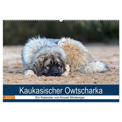 Kaukasischer Owtscharka (Wandkalender 2027 DIN A2 quer), CALVENDO Monatskalender