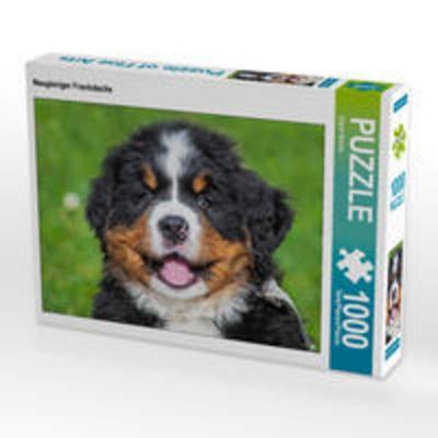 CALVENDO Puzzle Neugieriger Frechdachs 1000 Teile Lege-Größe 64 x 48 cm Foto-Puzzle Bild von Sigrid Starick