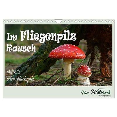 Im Fliegenpilz Rausch (Wandkalender 2027 DIN A4 quer), CALVENDO Monatskalender