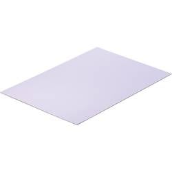 Polystyrol-Platte Reely (L x B) 33 cm x 23 cm 0.5 mm 297453