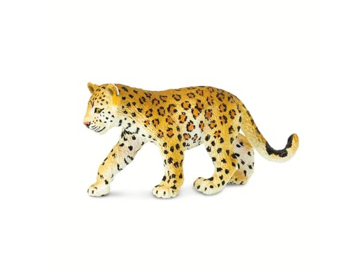 Safari Luipaard Cub