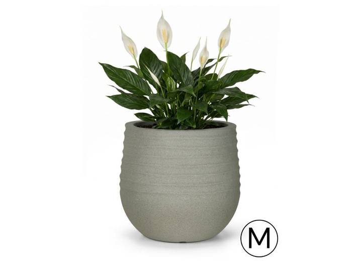 Mazovia Blumentopf Grau Terra M 40x40x37 cm, Kunststoff, Rund, 37 cm, Dekoration, Blumen & Blumentöpfe, Übertöpfe