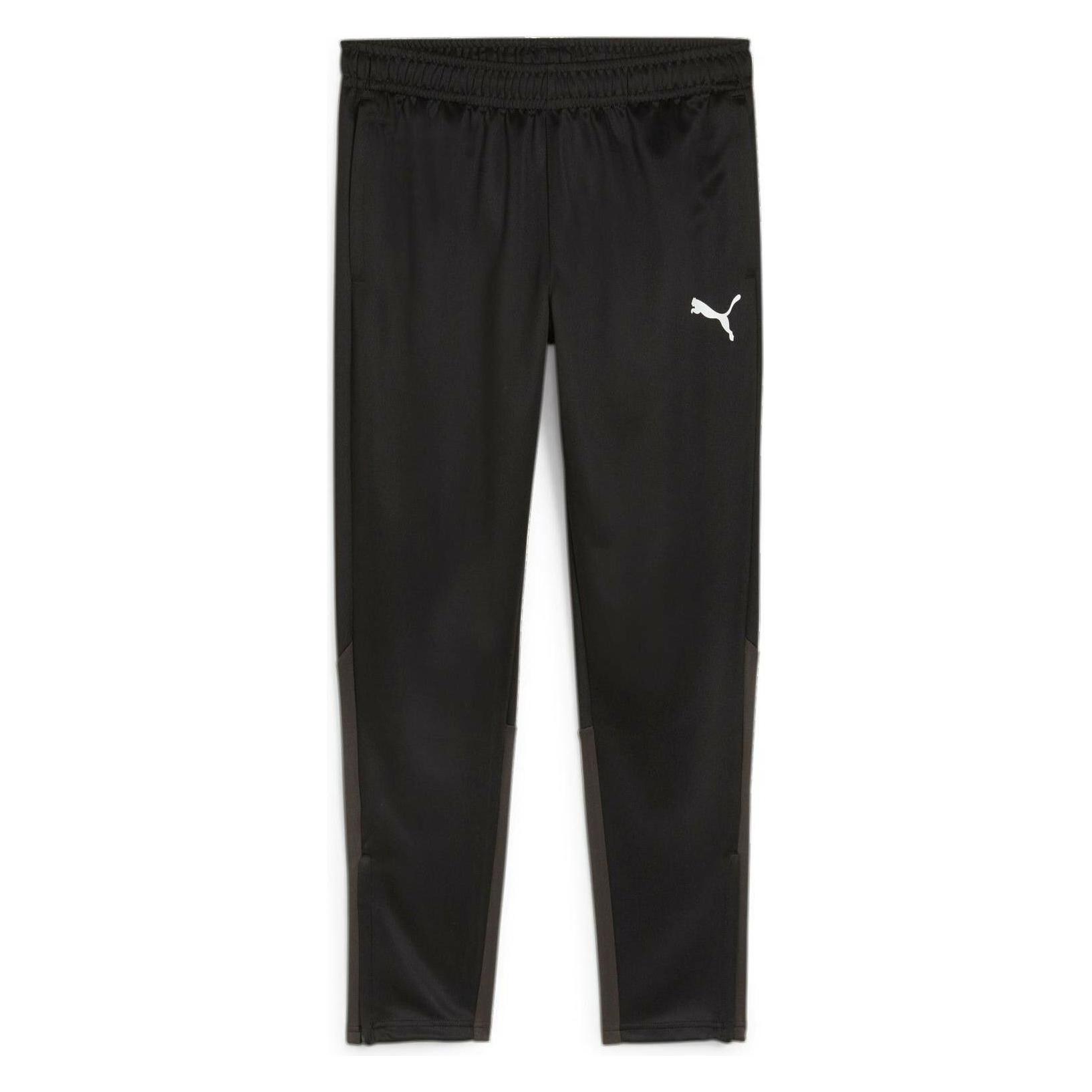 Puma teamGOAL Training Pant (L) (658639_03)