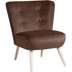 SESSEL Kassi Bezug Samtvelours Buche natur / braun