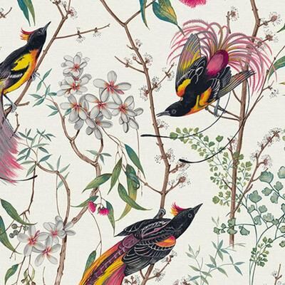 Graham & Brown Clavering Birds Day