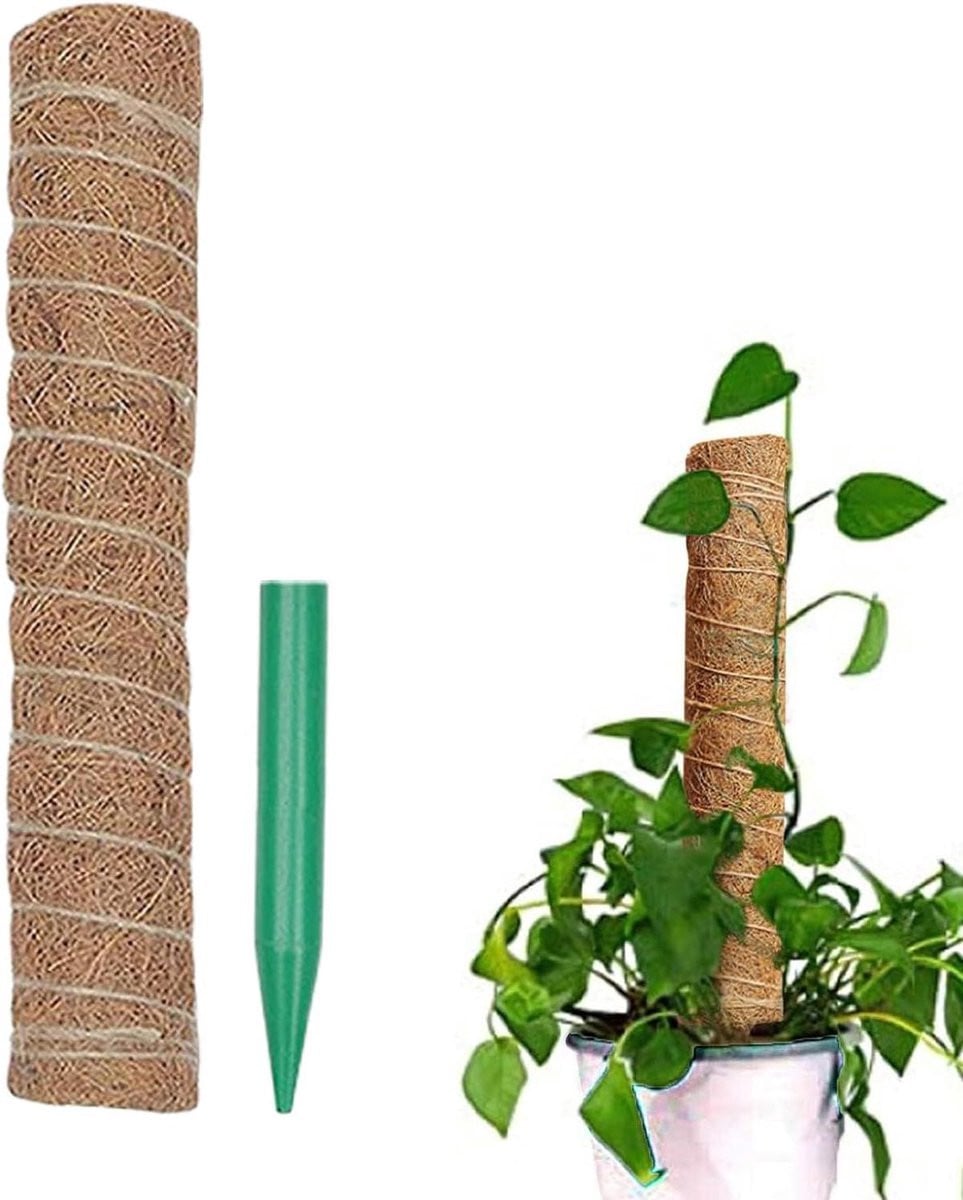 Kokosplant Mospaal Bruin - Plantsteun voor Kamerplanten - 60 cm