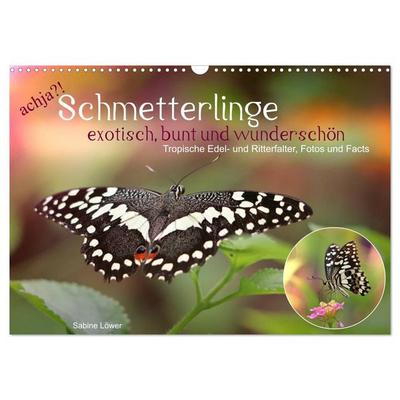 achja?! Schmetterlinge, exotisch, bunt und wunderschön (Wandkalender 2027 DIN A3 quer), CALVENDO Monatskalender