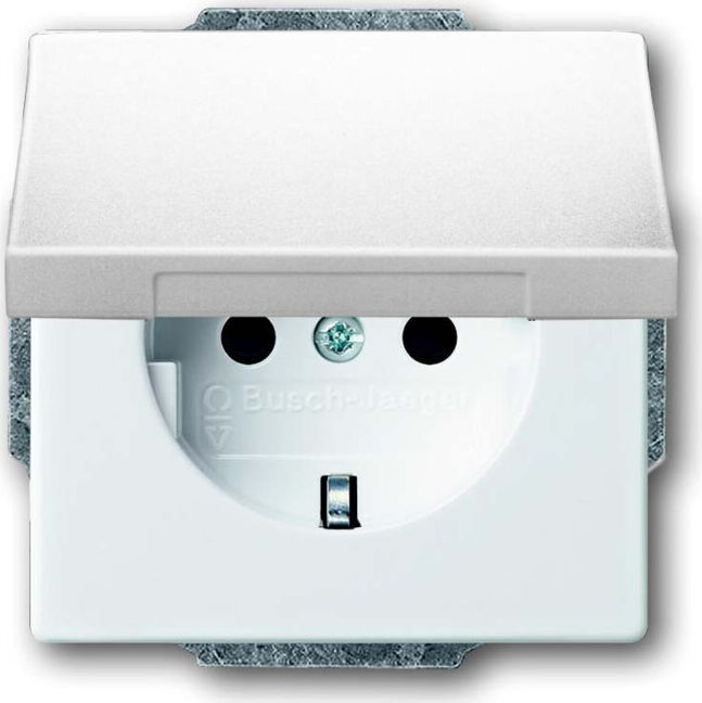 Busch-Jaeger Prise encastrée dav/sws 2PA+E16A avec couvercle rabattable 20 EUK-84 (2CKA002018A1467)