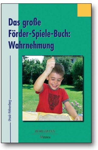 Ursula Hahnenberg - Das große Förder-Spiele-Buch: Wahrnehmung - Preis vom 15.10.2026 23:06:25 h
