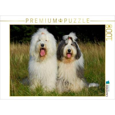 CALVENDO Puzzle Bobtail Pärchen | 1000 Teile Lege-Größe 64x48cm Foto-Puzzle für glückliche Stunden