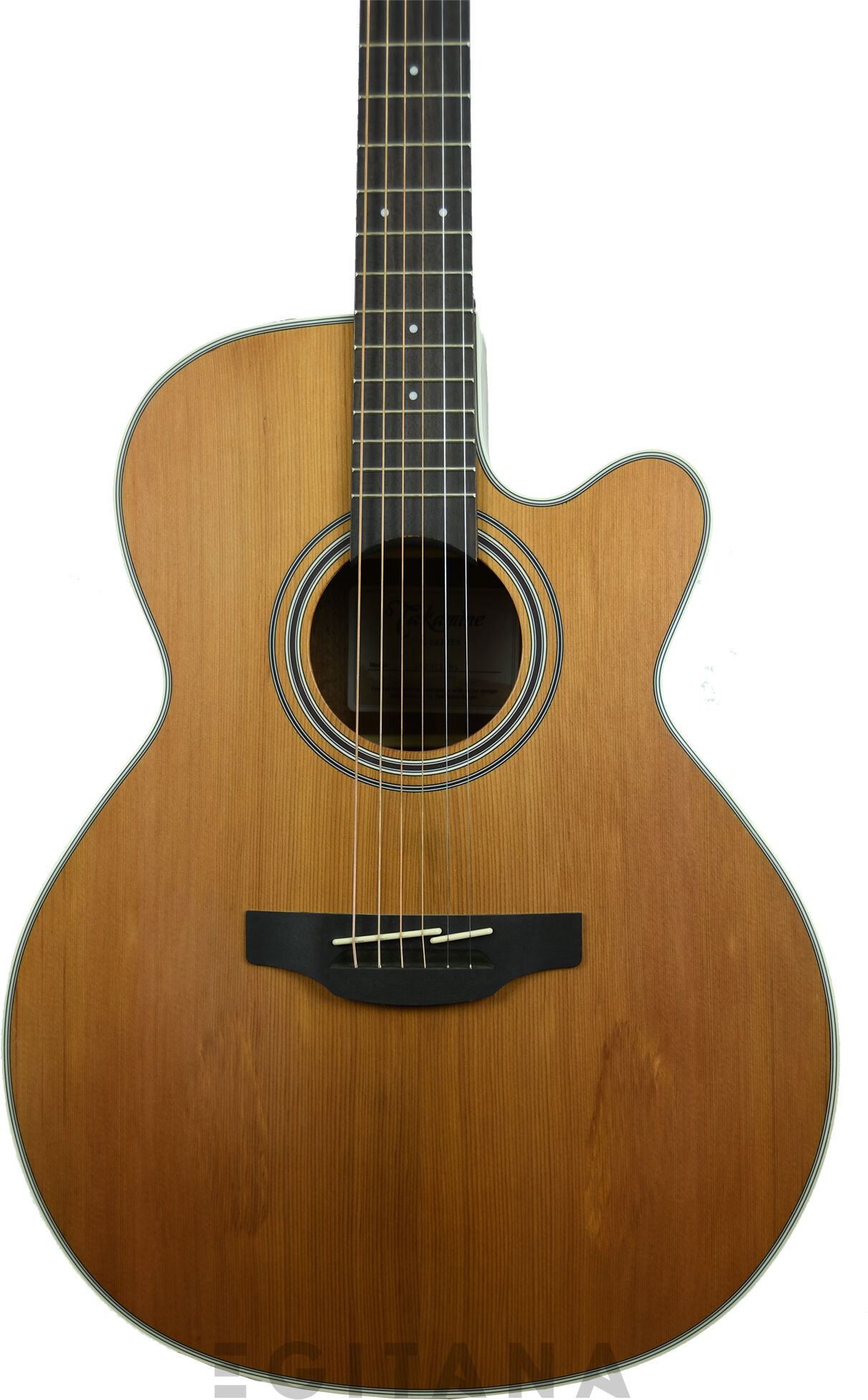 Takamine GN20CE-N