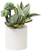 Jenny Silks Succulents Arrangement in Ribbed White Ceramic Planter - Green
