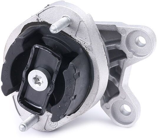 RIDEX 249M0009 Mounting, manual transmission