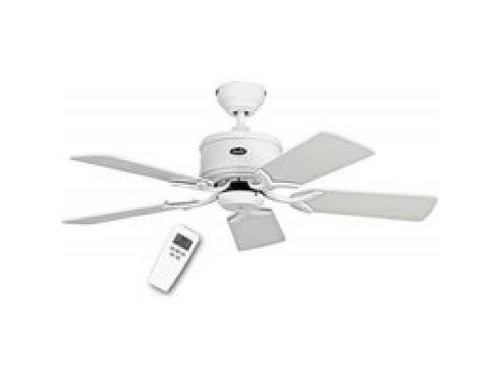 Ventilateur de plafond DC Eco Elements WE classique 103 Cm laqué blanc pales blanches télécommande CASAFAN