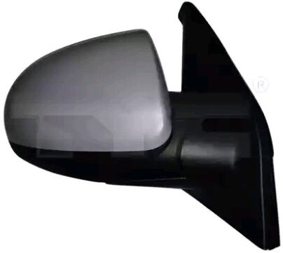 TYC 317-0041 Wing mirror