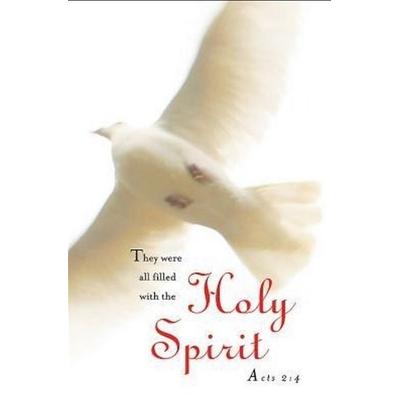 Holy Spirit Pentecost Bulletin 2013, Regular (Package of 50)