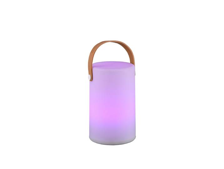TRIO R57080101 Lampe de table