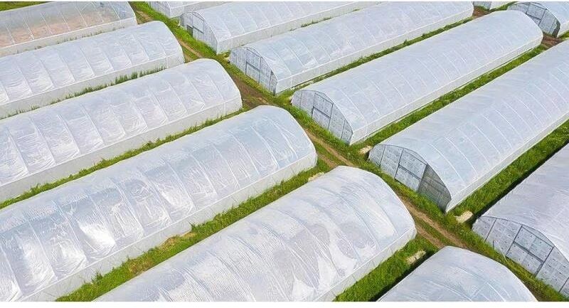 Rollo De Protección Multiusos Derplas Para Jardín Y Playa Transparente Talla Única Unisex