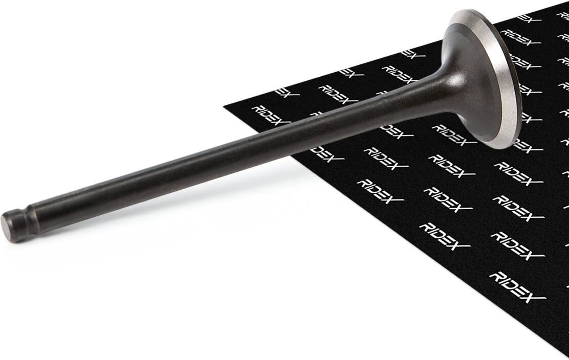 RIDEX 1270O0048 Exhaust valve