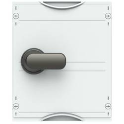 Striebel & John 2CPX041372R9999 MA250ALAB Lasttrennschalter 3polig 250 A