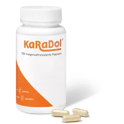 KaRaDol  120 St Kapseln magensaftresistent