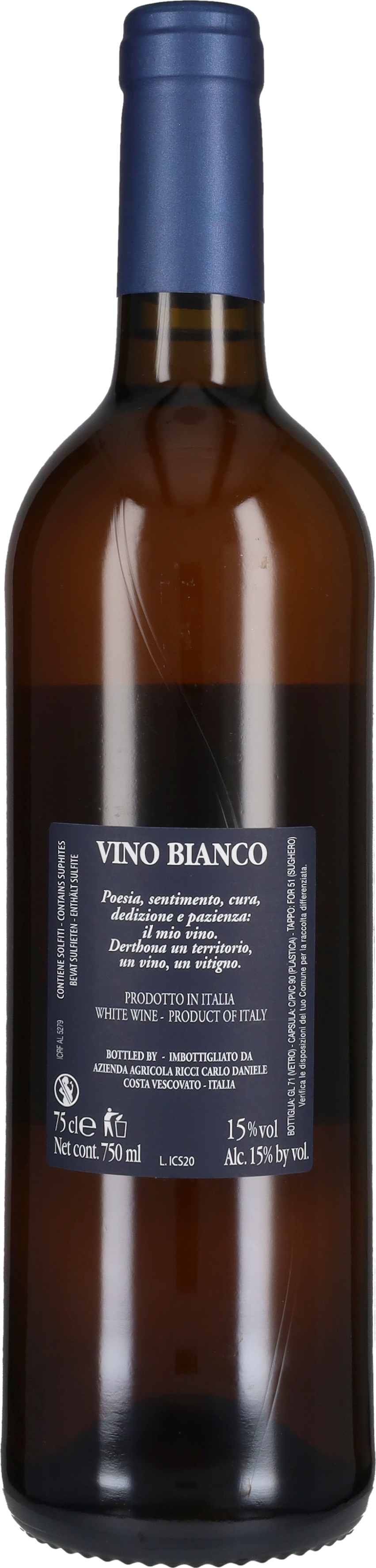 Ricci Daniele 'Io Cammino da Solo' Ricci