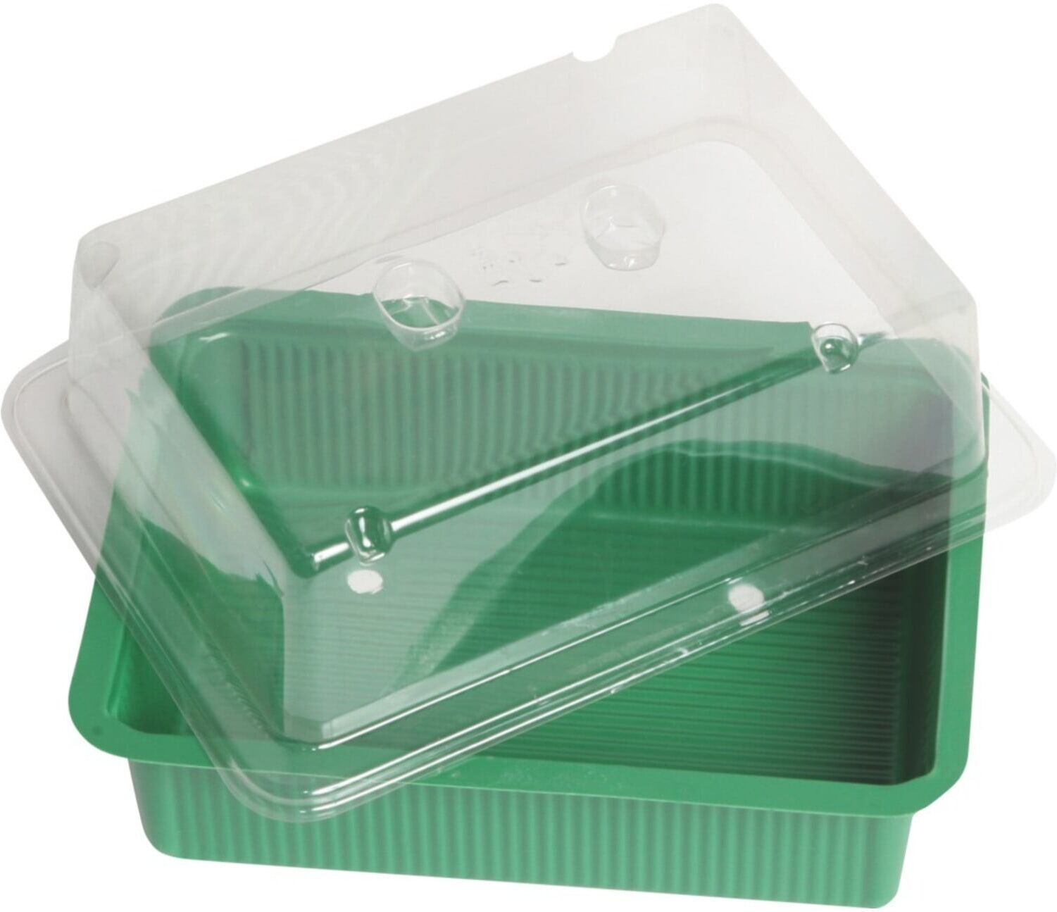 floraworld Mini-Treibhaus 20x15cm o. Untersetzer (11517)