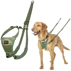Halti Forest Green (12, Hund, Allgemein), Halsband + Leine