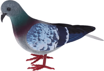 Inspire Curations Realistic Artificial Dove Decoration Simulation Pigeon Bird Figurine For Home & Events 1pc