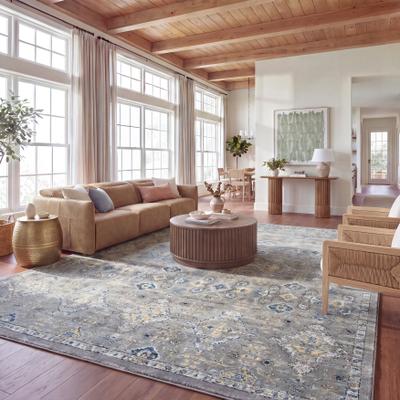 SAFAVIEH Evoke Stacie Vintage Boho Shabby Chic Rug