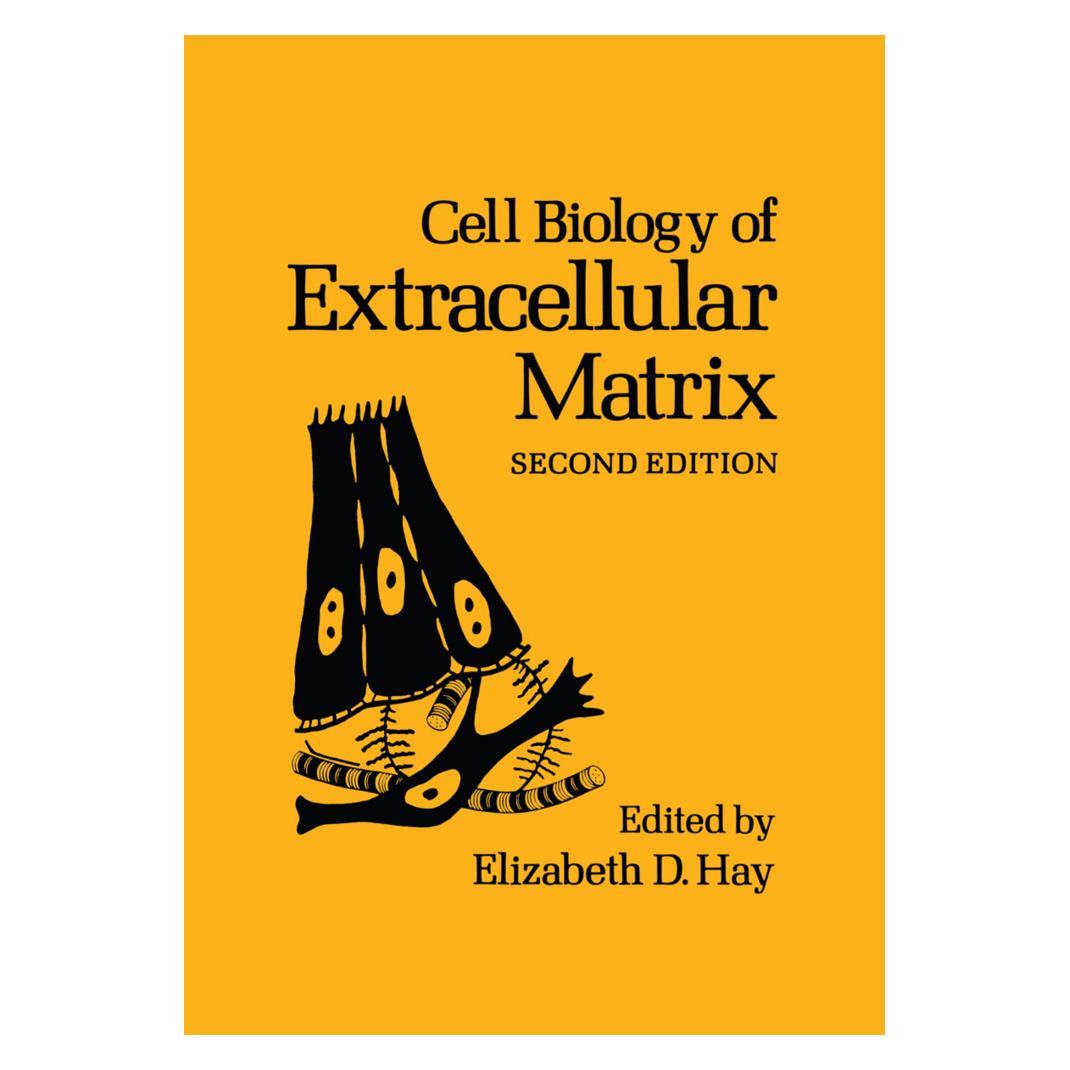 Springer Cell Biology of Extracellular Matrix (Englisch, Softcover, Elizabeth D. Hay) (55555959)