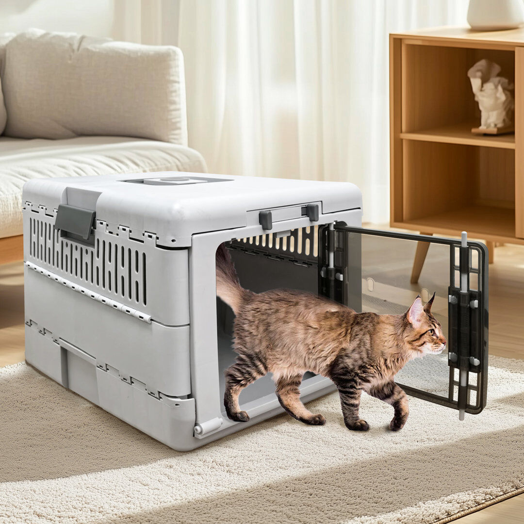 UNHO Pet Carrier Plastic Collapsible and Foldable Pet Carrier Grey Extra Small (5-10lbs)