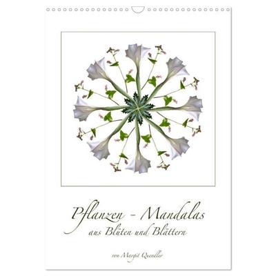 Pflanzen - Mandalas aus Blüten und Blättern (Wandkalender 2027 DIN A3 hoch), CALVENDO Monatskalender