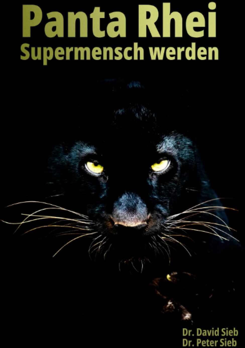 Sieb, Dr. Peter - Panta Rhei - Supermensch werden - Preis vom 11.10.2026 15:43:13 h