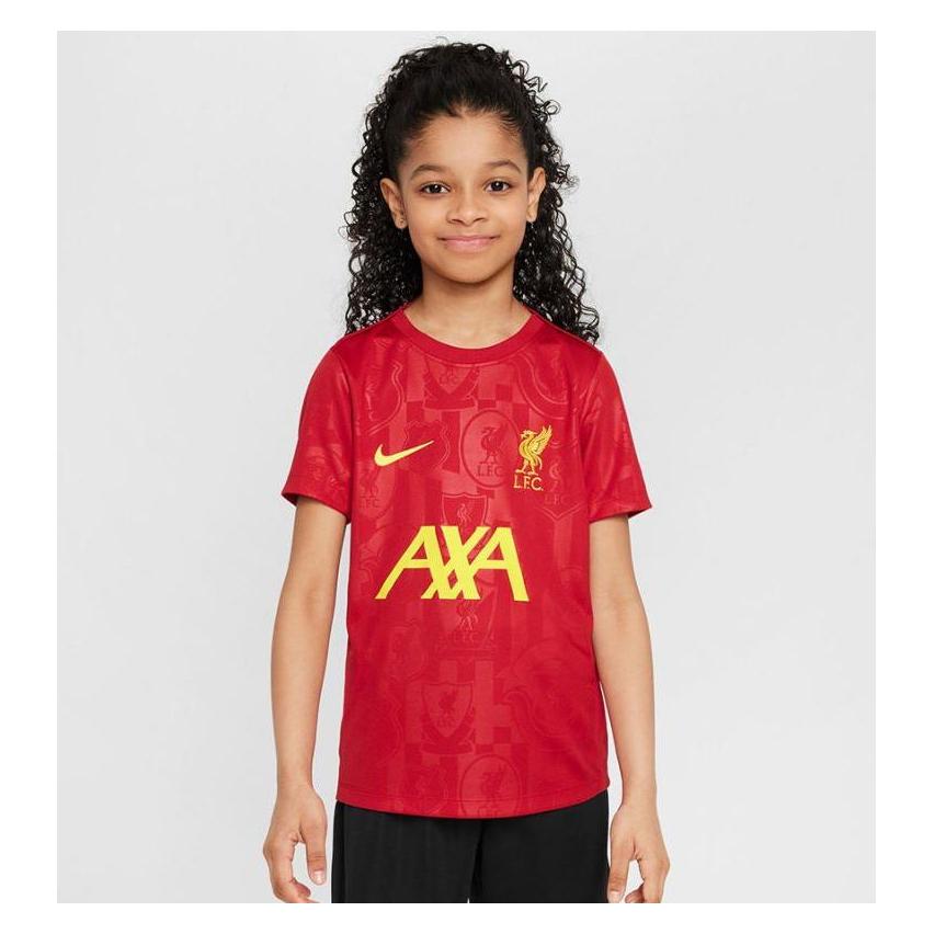 Nike Liverpool Academy Pro Top (158, 170, XL) (58973803)