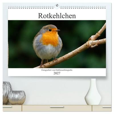 Rotkehlchen - Fotografiert von Ostfriesenfotografie (hochwertiger Premium Wandkalender 2027 DIN A2 quer), Kunstdruck in Hochglanz