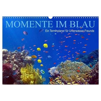 Momente im Blau - Ein Terminplaner für Unterwasser-Freunde (Wandkalender 2027 DIN A3 quer), CALVENDO Monatskalender
