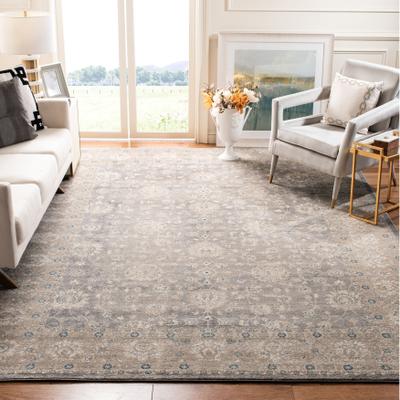 SAFAVIEH Sofia Liebhilde Vintage Oriental Rug