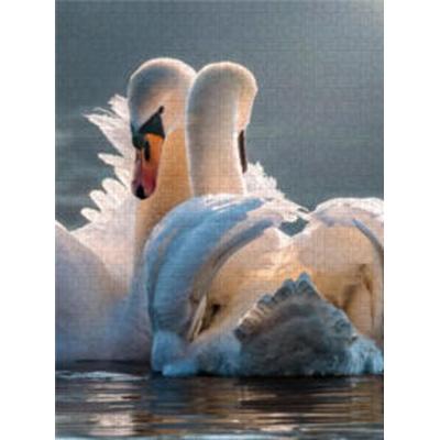 CALVENDO Puzzle Schwäne, Liebe verbindet 1000 Teile Lege-Größe 480 x 640 cm Foto-Puzzle Bild von Peter Roder