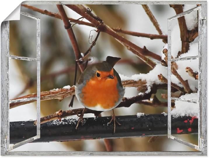 Poster ARTLAND Fensterbild - Rotkehlchen , rot (farbe bild(er): rot), B:40cm H:30cm, Bilder, Poster, ohne Rahmen