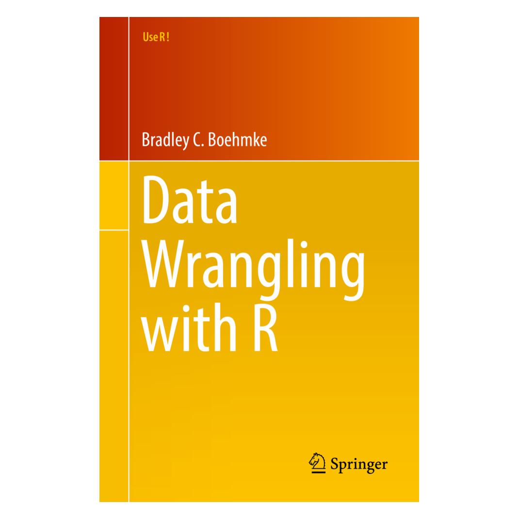 Springer Data Wrangling with R (Englisch, Softcover, Bradley Boehmke) (8240412)