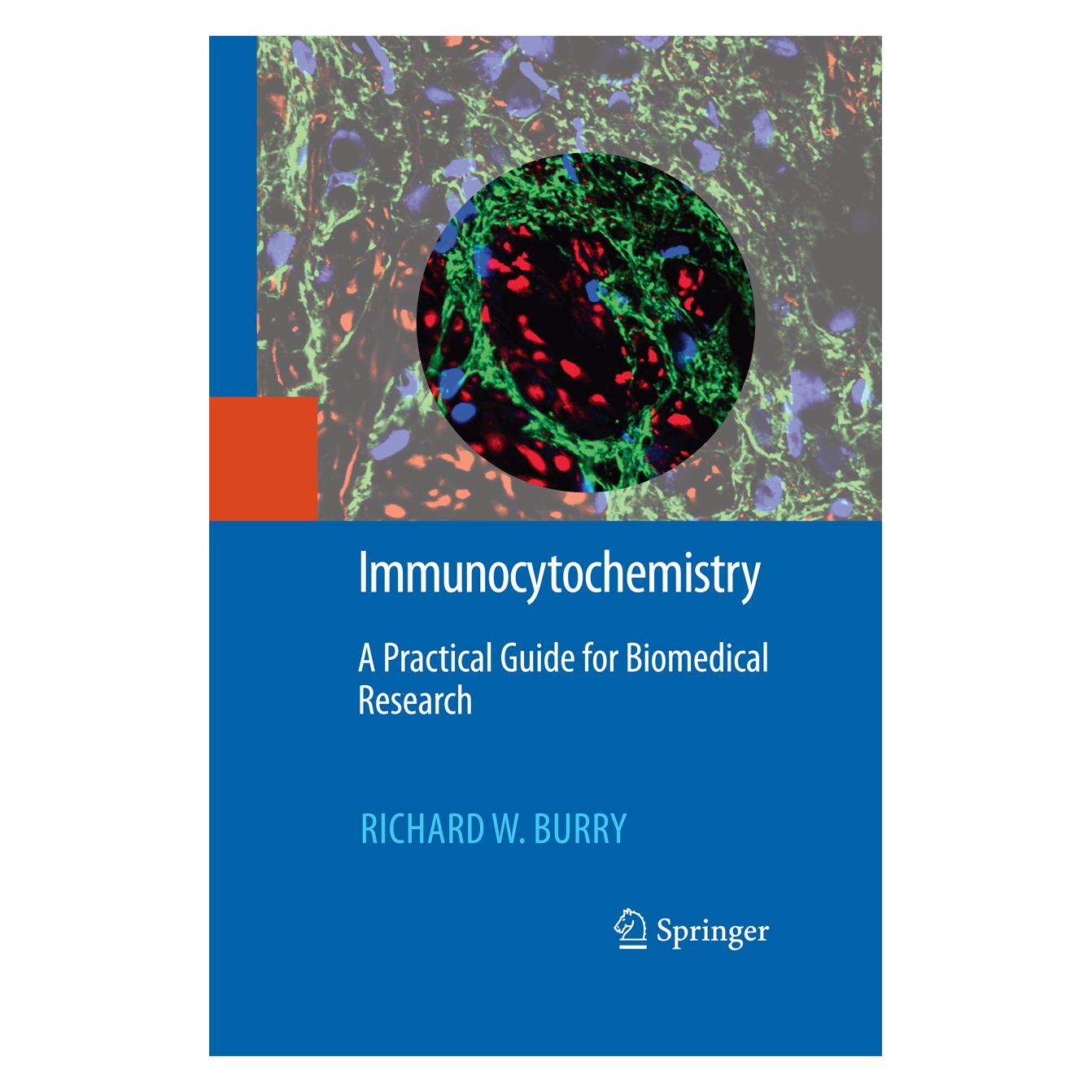 Springer Immunocytochemistry (Englisch, Softcover, Richard W. Burry) (55579905)