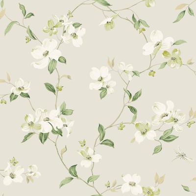 York Wallcoverings Dogwood Light Grey Wallpaper