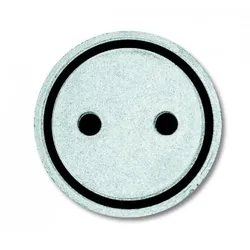 Busch-Jaeger 2144 ST Abtastbares Symbol Steckdose